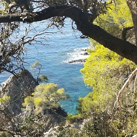 4 Personnes Wifi Hyères